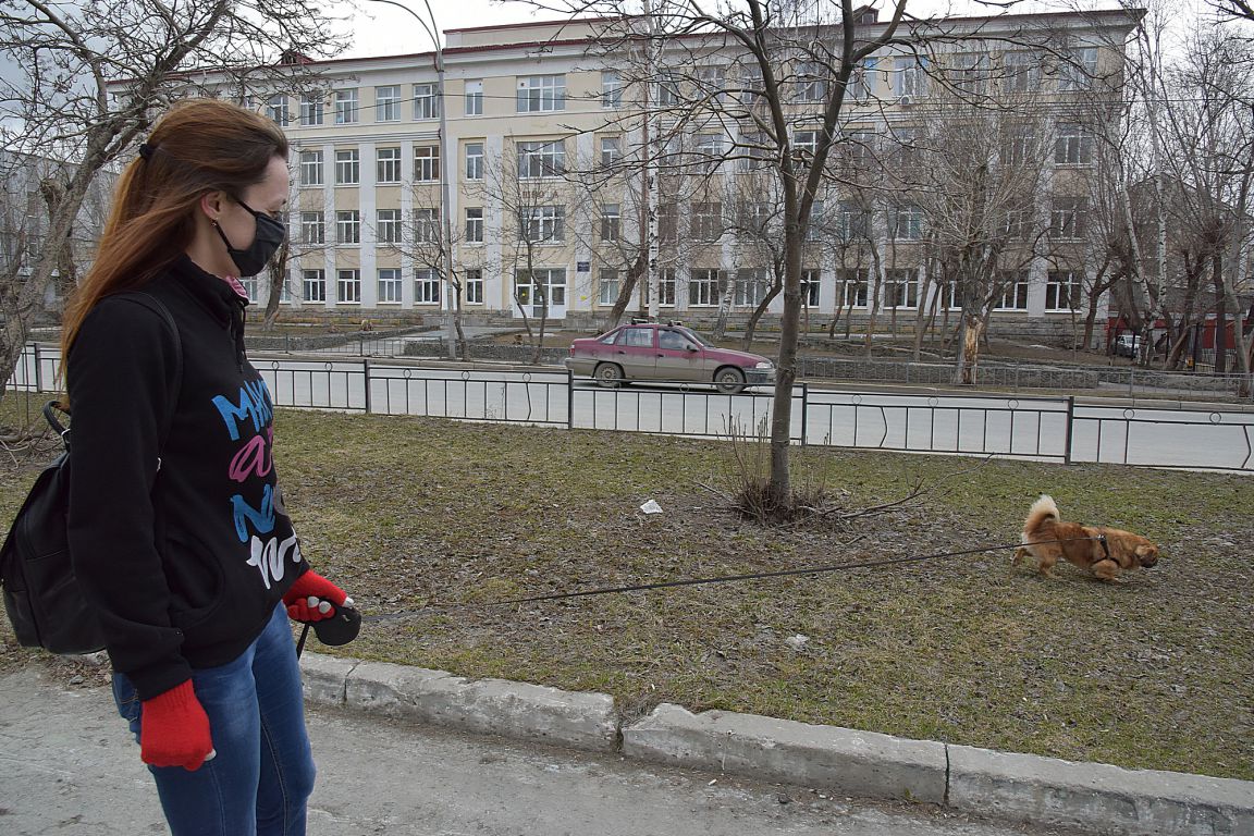 Волонтеры начали принимать заявки от пожилых людей, чтобы помочь им  выгуливать собак - «Уральский рабочий»